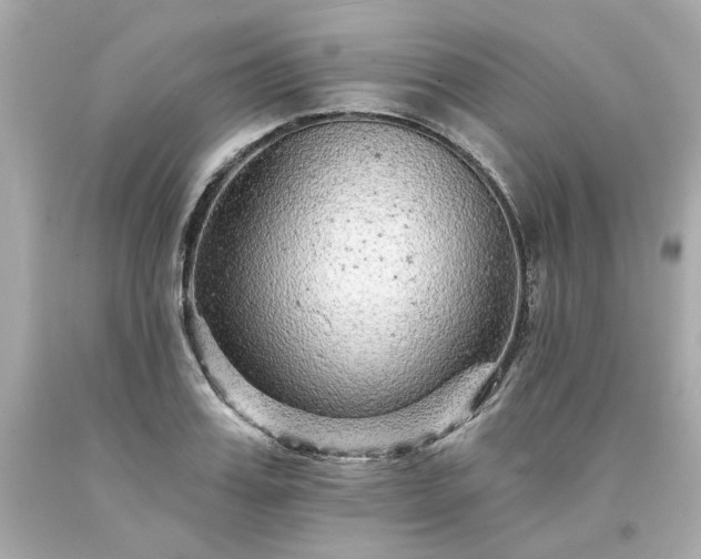 X0000094170987200711020937