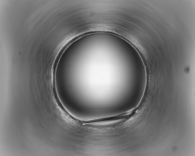 X0000094170988200711020937