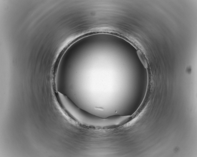 X0000094170989200711020937