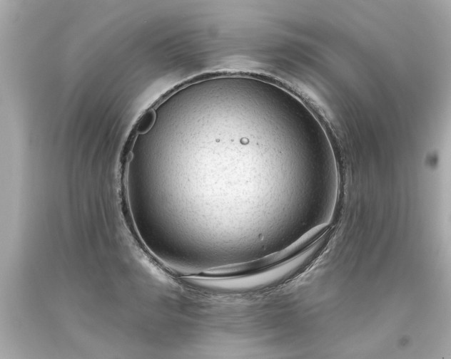 X0000094170990200711020937