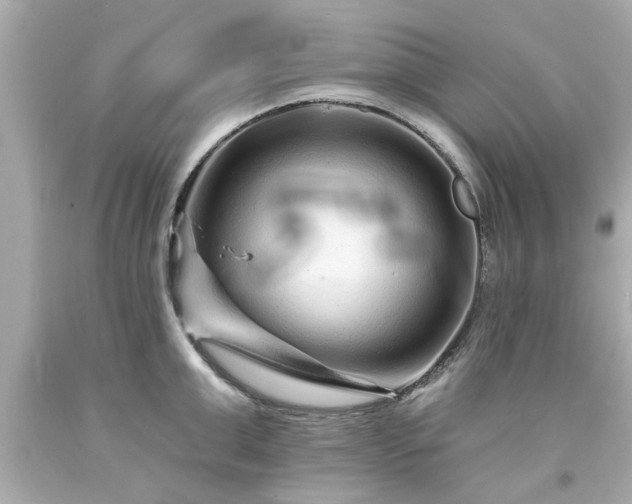 X0000094170999200711020936