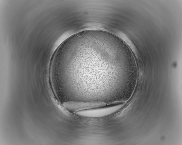 X0000094171002200711020936