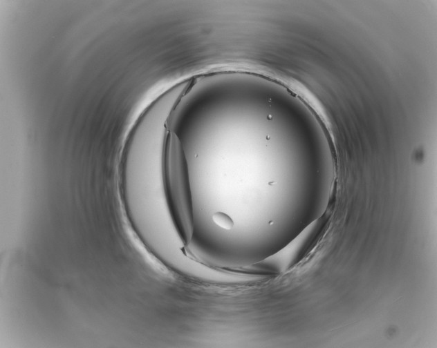 X0000094171005200711020936