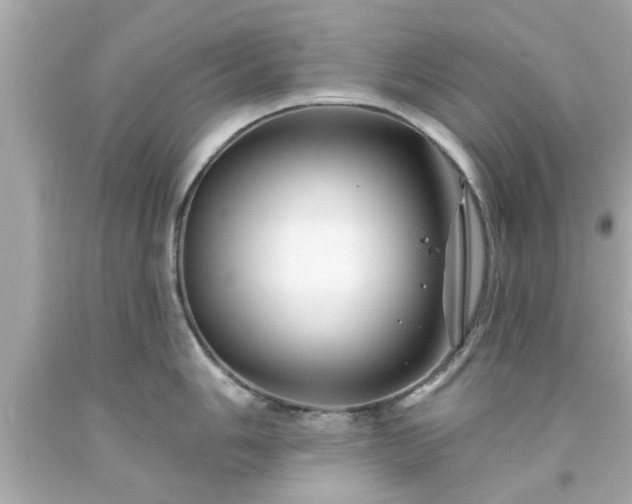 X0000094171006200711020936