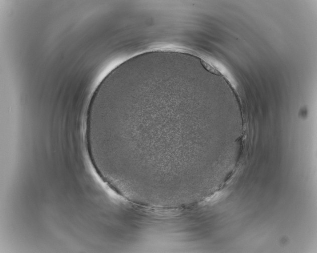 X0000094171007200711020936