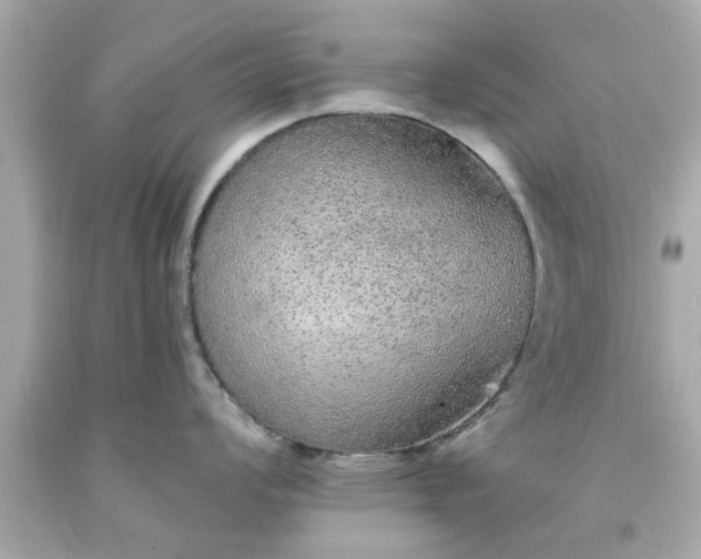 X0000094171008200711020936