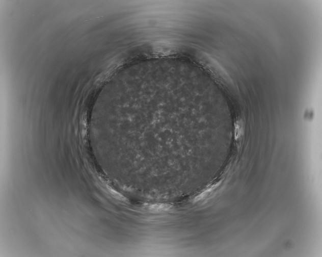 X0000094171011200711020936