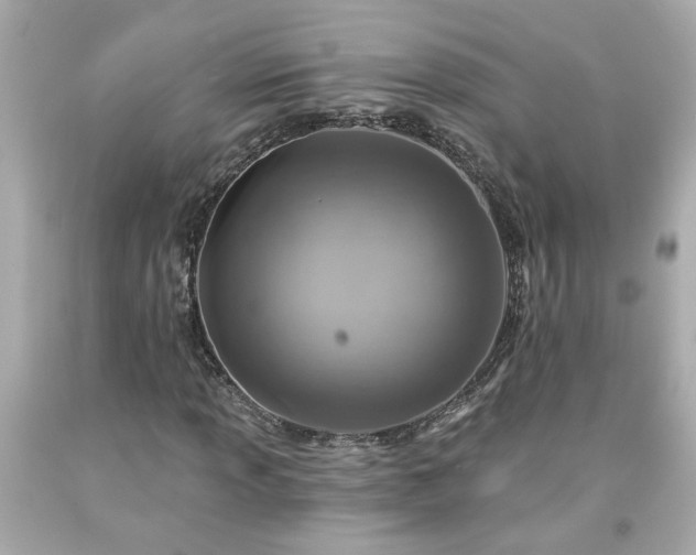 X0000094171013200711020936