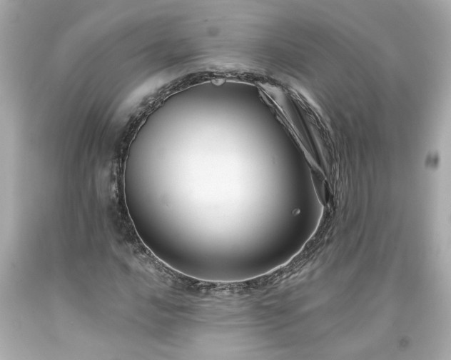 X0000094171016200711020936