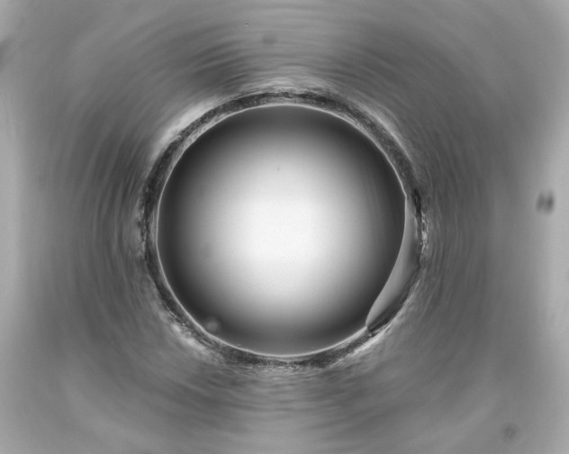 X0000094171018200711020936
