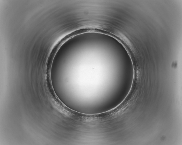 X0000094171020200711020936