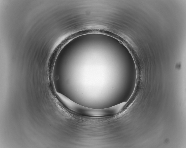 X0000094171022200711020936
