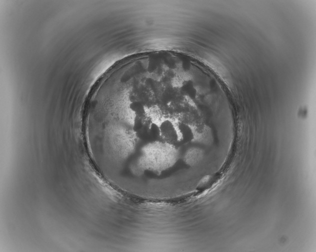 X0000094171023200711020936
