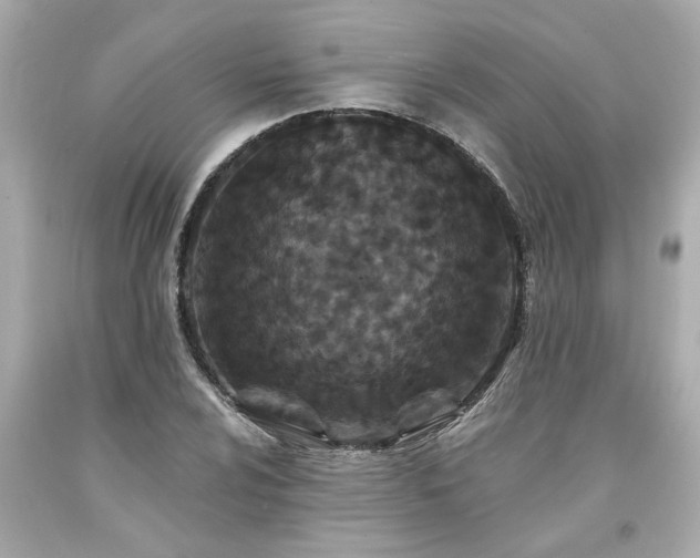 X0000094171024200711020936