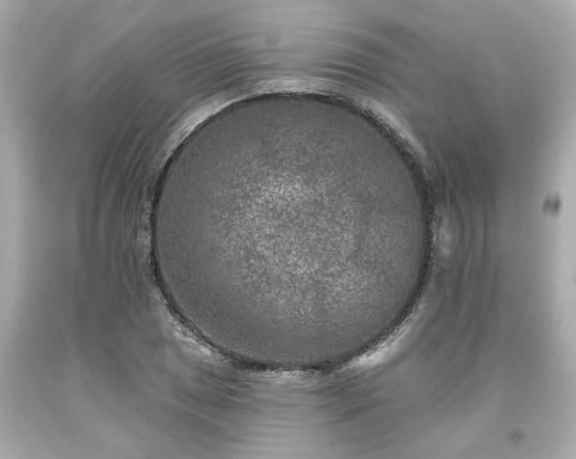X0000094171025200711020936