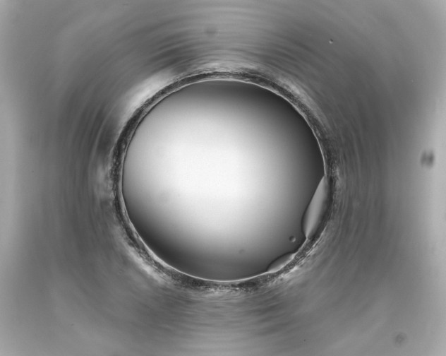 X0000094171026200711020936