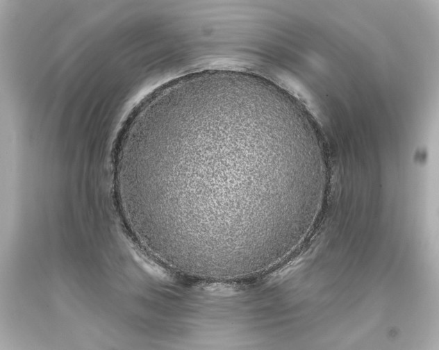 X0000094171027200711020936