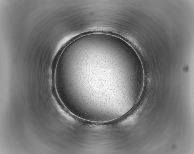 X0000094171030200711020936