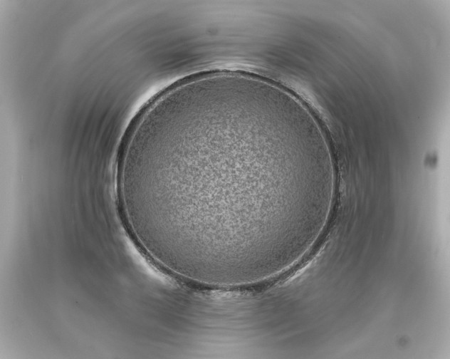 X0000094171032200711020936