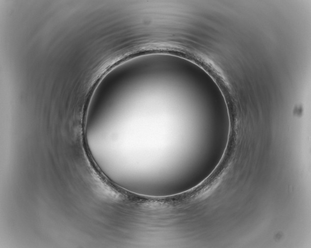 X0000094171033200711020936
