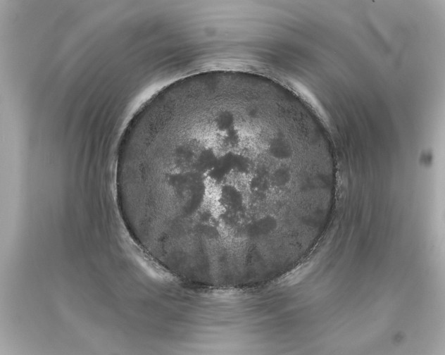 X0000094171035200711020936