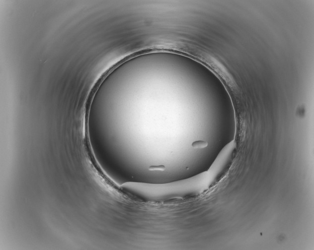 X0000094171036200711020936