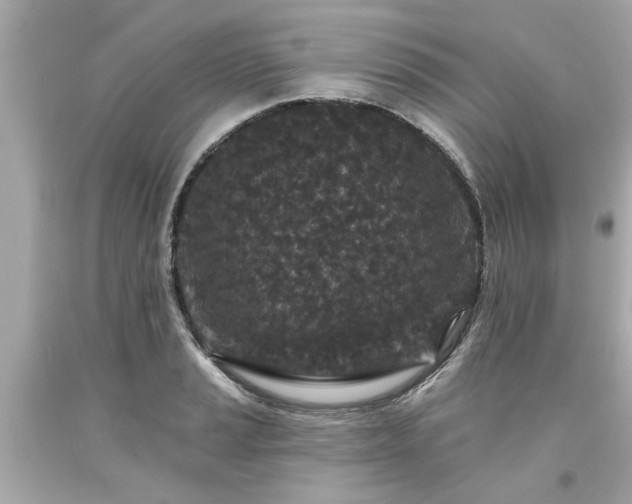 X0000094171037200711020936