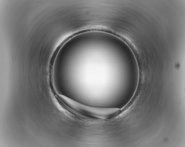 X0000094171038200711020936