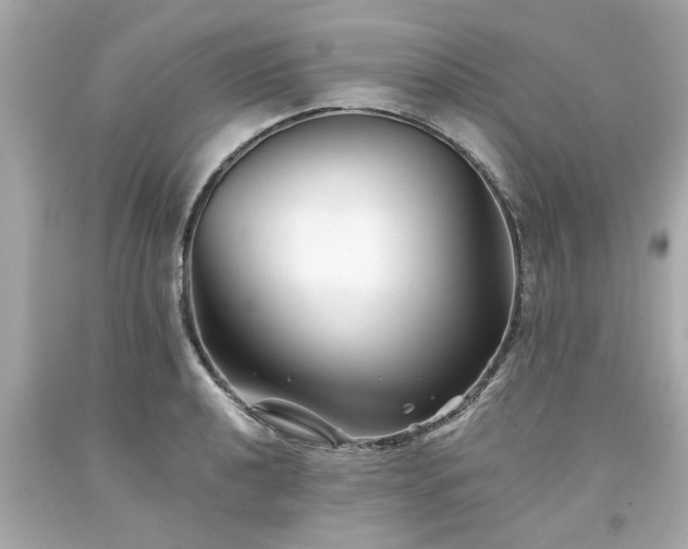 X0000094171040200711020936
