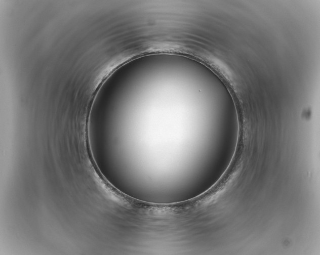 X0000094171041200711020936