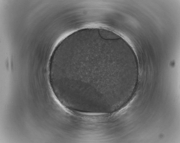 X0000094171045200711020936