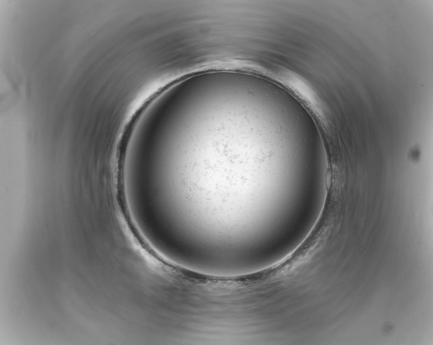 X0000094171046200711020936