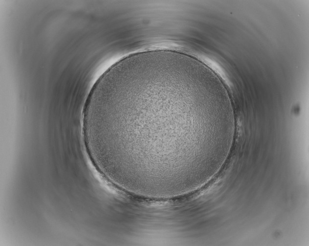 X0000094171047200711020936