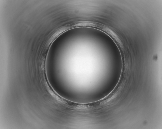 X0000094171049200711020936