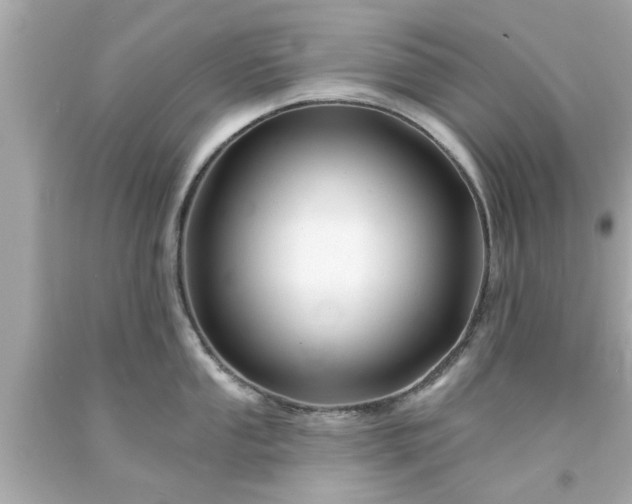 X0000094171053200711020936