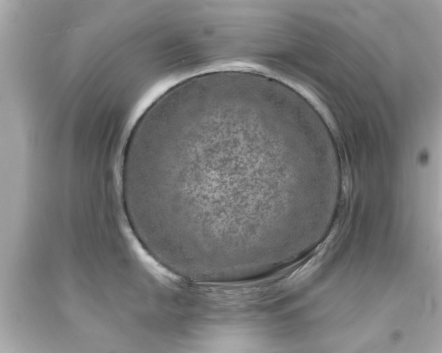 X0000094171054200711020936