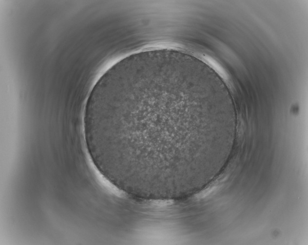 X0000094171055200711020936