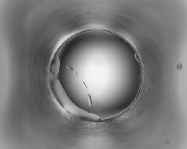 X0000094171056200711020936