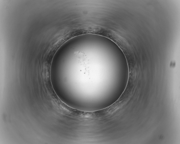 X0000094171058200711020936