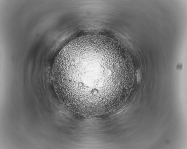 X0000094171059200711020936