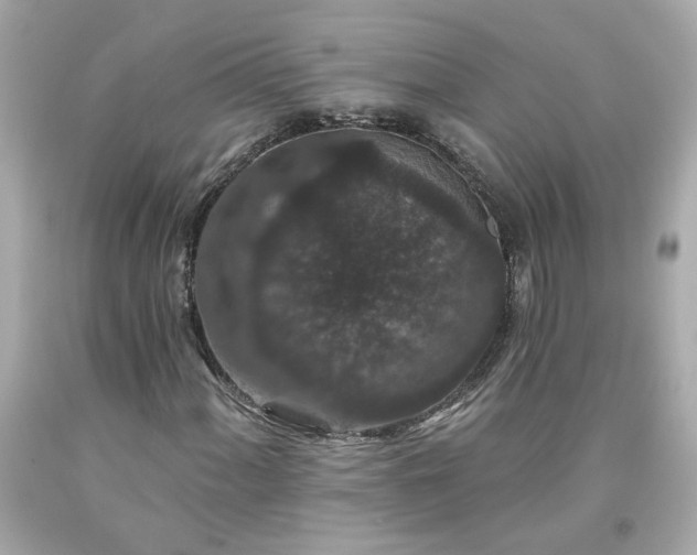 X0000094171060200711020936