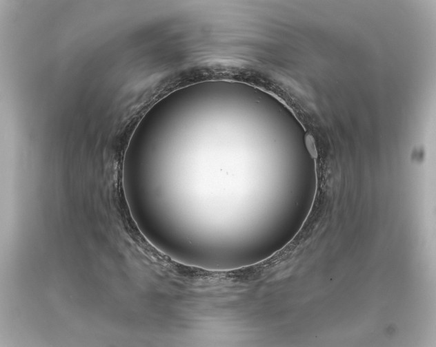 X0000094171061200711020936