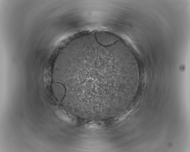 X0000094171063200711020936