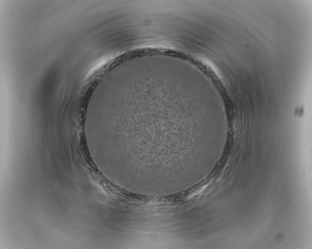 X0000094171064200711020936