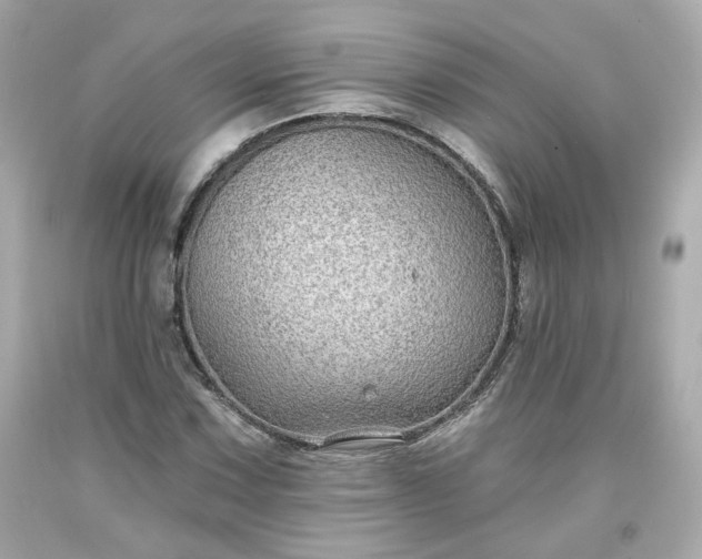 X0000094171067200711020936