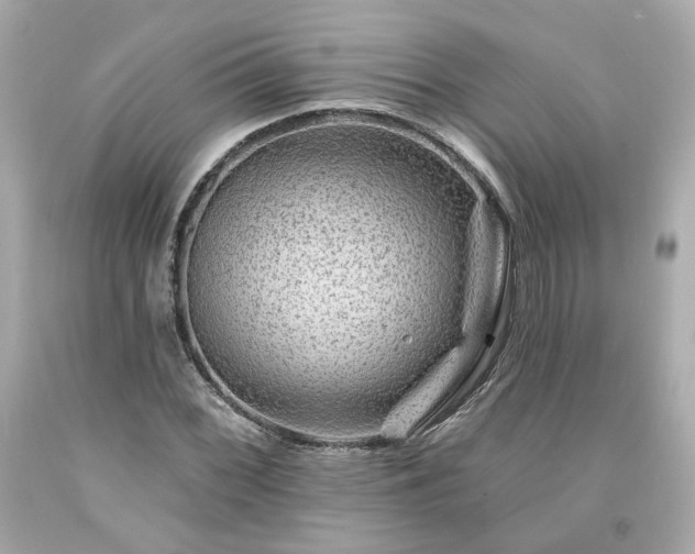 X0000094171068200711020935
