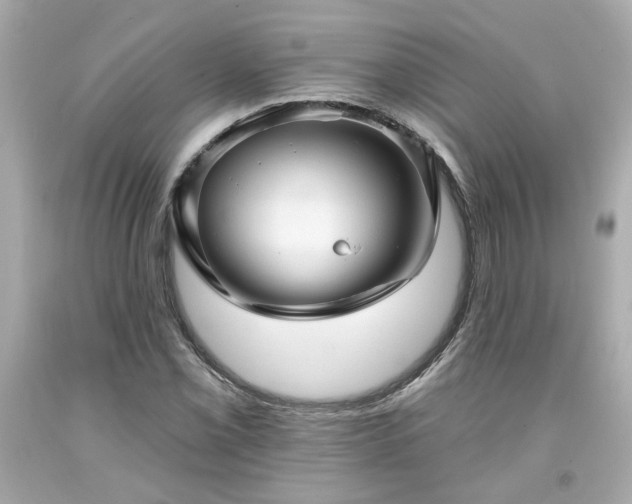 X0000094171069200711020935