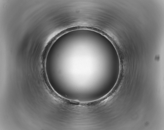 X0000094171070200711020935