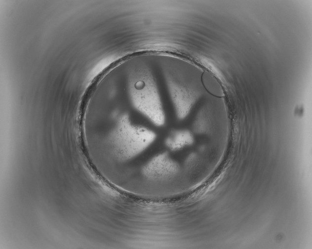 X0000094171071200711020935
