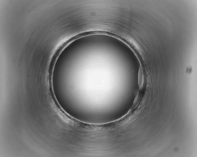 X0000094171072200711020935